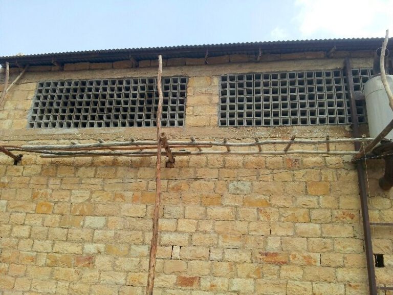 20140711_104704_resized