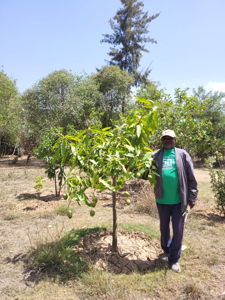 Der Gärtner Getachew im botanischen Garten mit nun schon tragendem Mango-Baum.