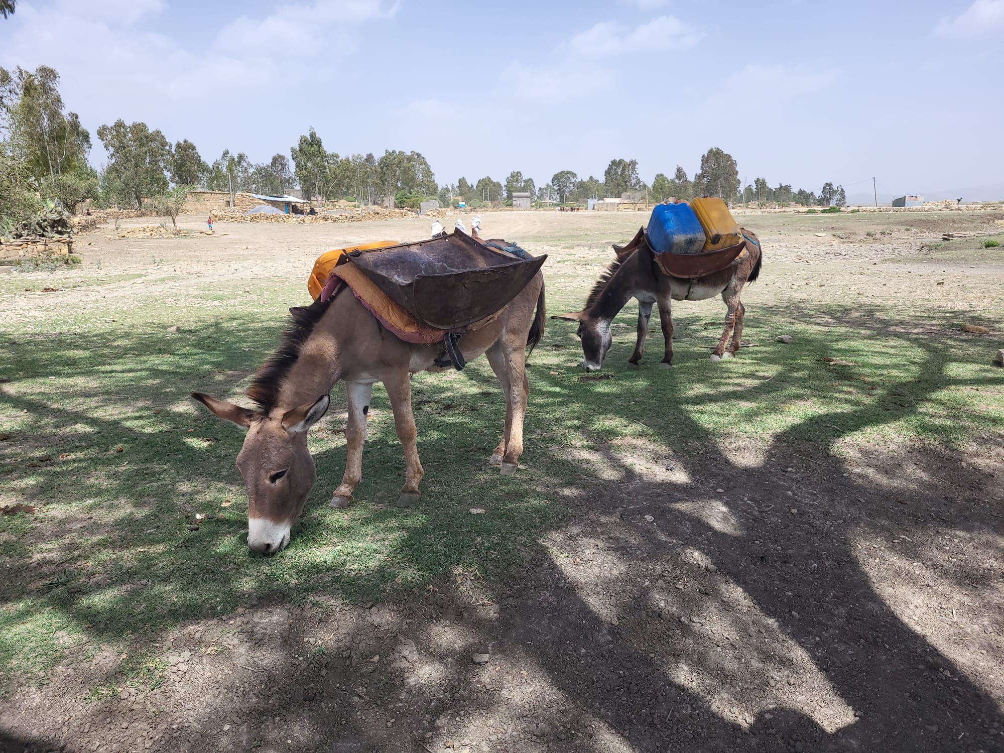 1c8bdb58-ffe6-4827-893b-23843b249806