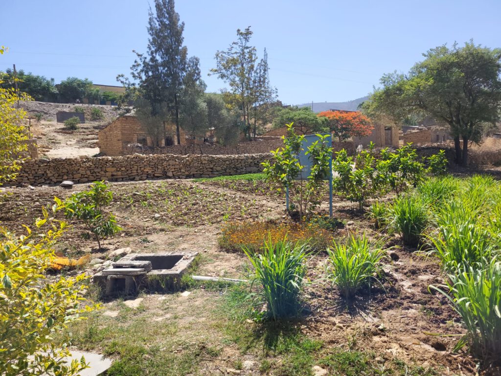 Blick vom Eingang des Museums in den botanischen Garten und zur Mauer zur Straße hin.