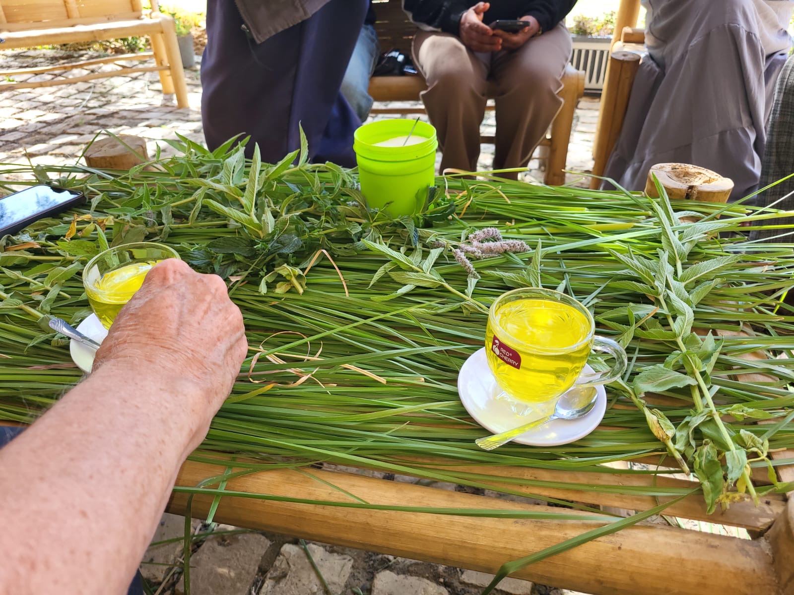 Frische Kräutertee aus dem botanischen Garten, serviert auf der Veranda.