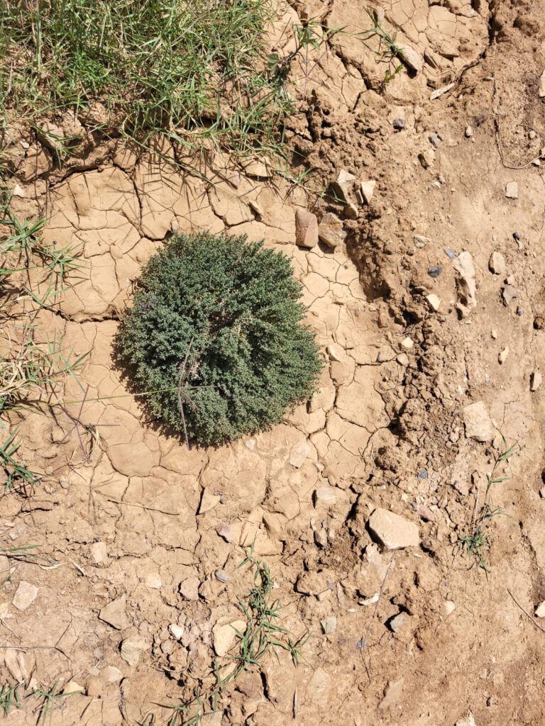 5222b6cf-0fcc-4d9a-a9a9-1f49b86ffe37