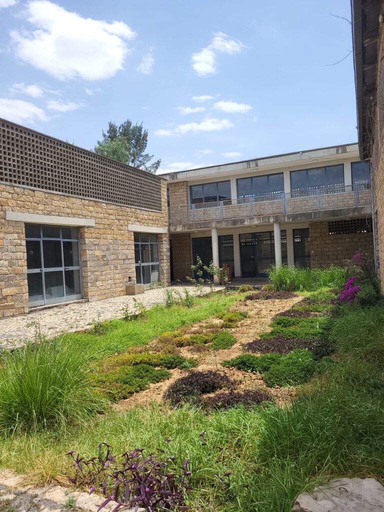 Der Innenhofgarten. Hier soll perspektivisch ein abrahametisches Blumenbeet entwickelt werden.