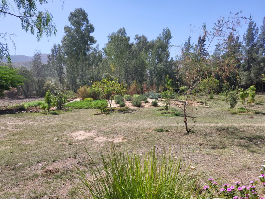 Blick in den botanischen Garten von der Veranda aus.