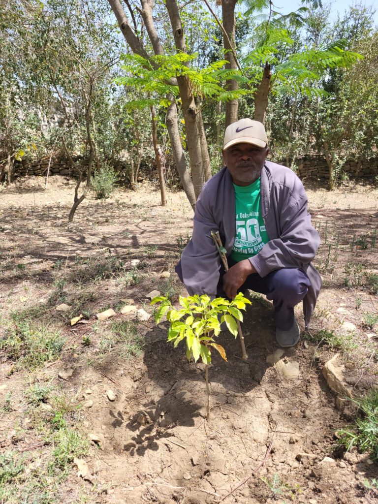 Getachew mit neu-gepflanztem Bäumchen.