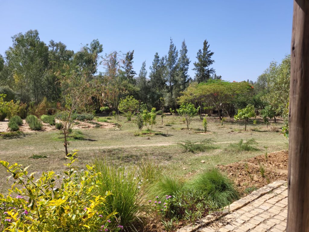 Blick in den botanischen Garten von der Veranda aus.