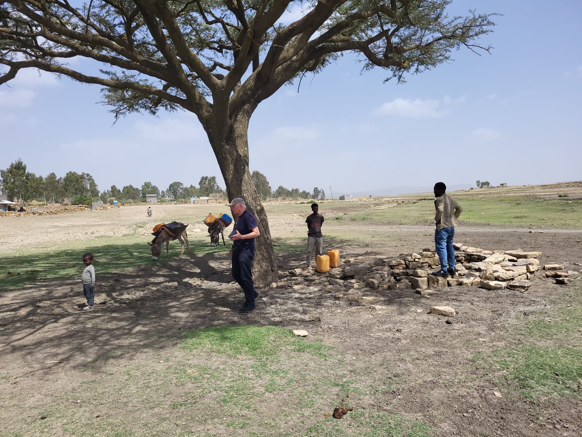 f6a250c7-eb06-4268-b042-08a2a683ae30