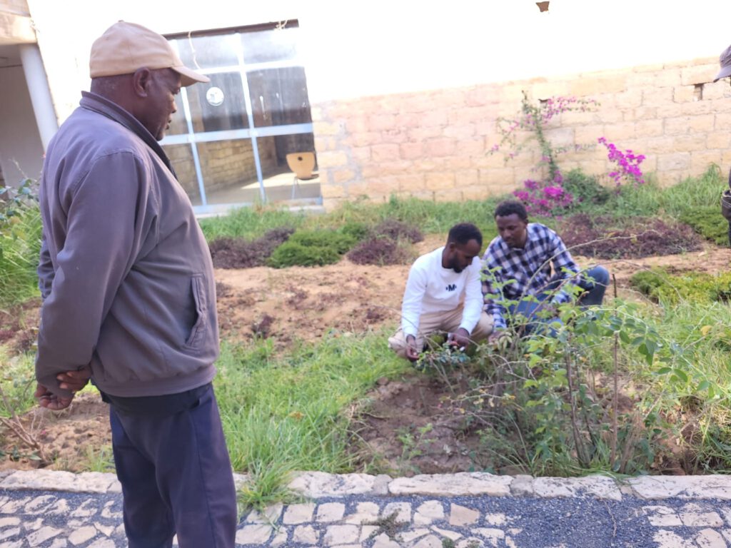 Getachew, Kasahun und Efrem Gidey (Landwirtschaftlicher Berater von St. Mary's College), im Innenhofgarten des Museums.